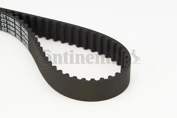 Timing Belt